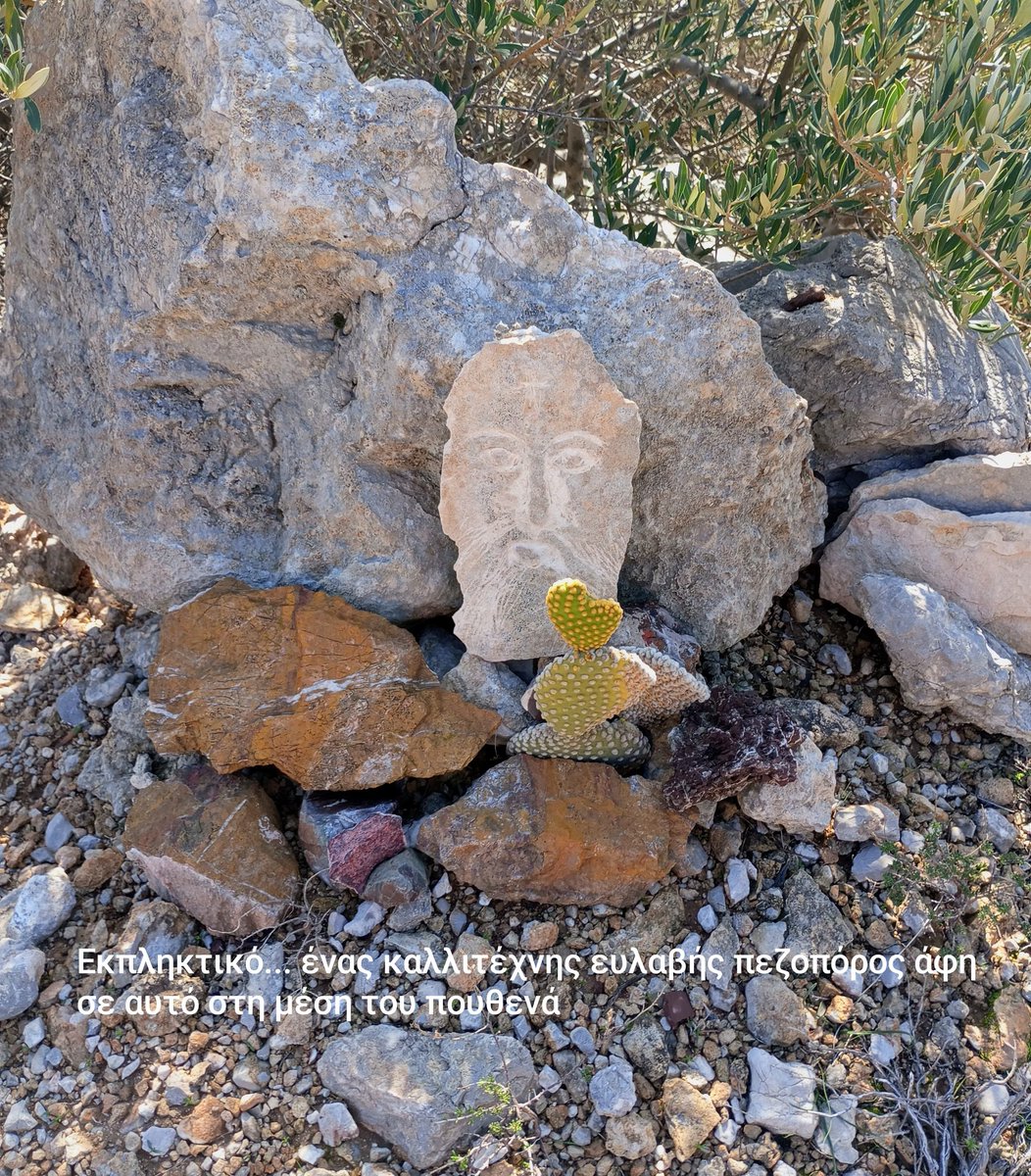 Samprina3's tweet photo. Σε αναζήτηση μιας Ιθάκης και την διεκδίκηση της ζωής  ένα τρελό τριημεράκι στην φύση..
Το καλό είναι ότι τα είχε όλα. Σύνδεση με την φύση, πεζοπορία, κατασκήνωση στο δάσος, διατροφική πειθαρχία, ψυχική ηρεμία.
Το κακό είναι ότι τελείωσε γρήγορα... όπως όλα τα ωραία... https://t.co/NpWTaAwYBl