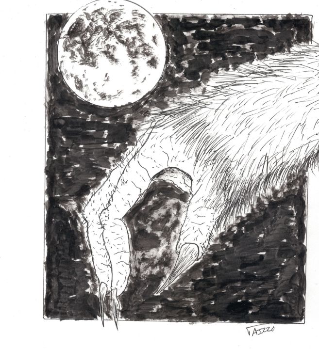 AIzzo's tweet photo. Art of the Day! "Full Moon Werewolf Drawing". Buy at: https://t.co/tUNX7uU6WH https://t.co/vot3YWcIoV