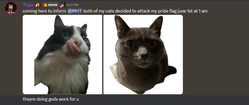 Real_MHT's tweet photo. https://t.co/m4xRTfSwgS