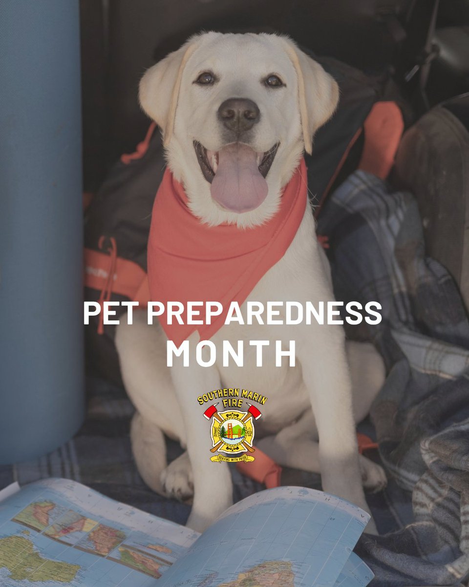 SMFDinfo's tweet photo. June is Pet Preparedness Month!
Emergencies affect pets too. Include them in your emergency plan by packing a pet go-bag with food, water, medications, leash, carrier, ID tags, photos, and vet records. Plan ahead so everyone gets out safely — paws and all.
https://t.co/JdNkPH1N4D https://t.co/LKqBRFByH7