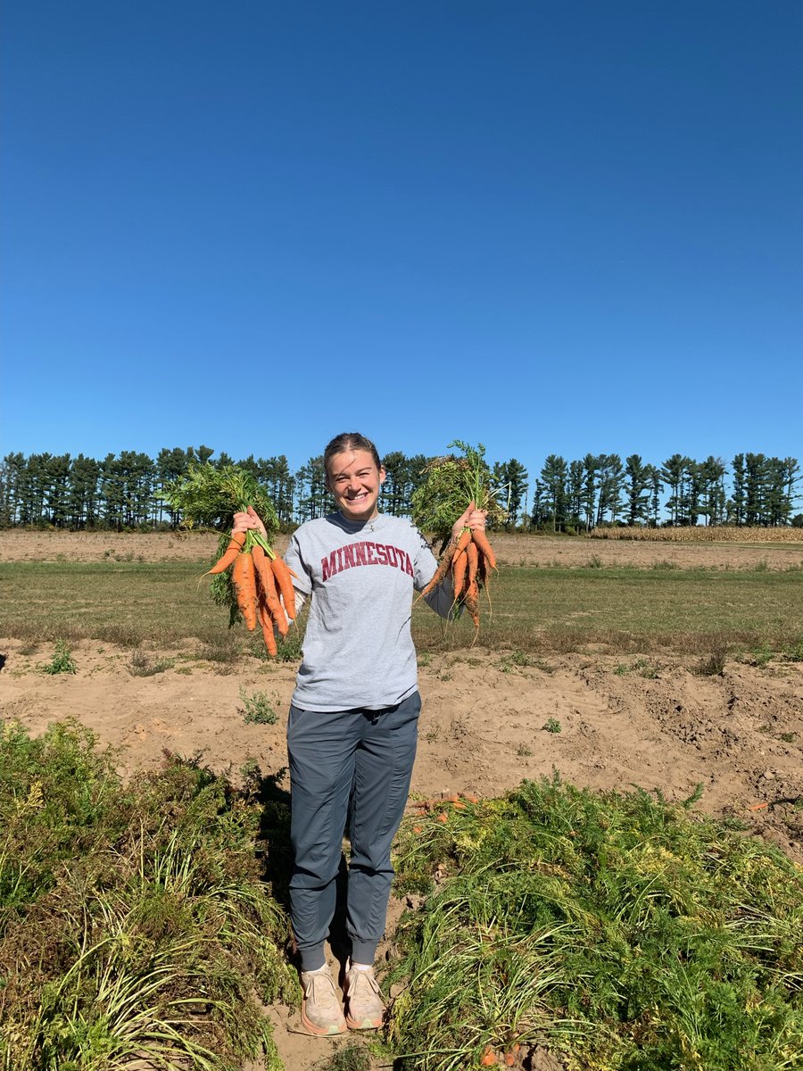 psgsc's tweet photo. 🌱 Student Spotlight: Emma Terris, PhD Entomology🌱
Researching how the Colorado potato beetle rapidly evolves insecticide resistance—integrating genomic, transcriptomic &amp; epigenetic data across Wisconsin potato regions. 🐞🔬 https://t.co/dmN3iNFfpf