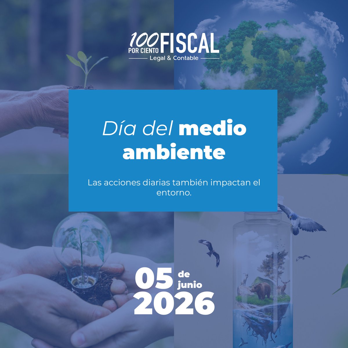 100Fiscal's tweet photo. Cada acción cuenta cuando se trata del cuidado del entorno y los recursos naturales. 🌎🌿
#DíaDelMedioAmbiente #CuidadoAmbiental #Sostenibilidad https://t.co/LDEsDKPbQw