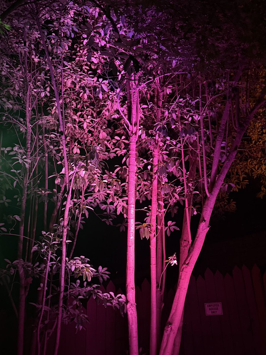 The_Rebsinator's tweet photo. Happy Pride Month everyone 🥳🌈 May you all be able to love openly and proudly 🥰 I pray that one day, the people at the top of the food chain/certain other demographics can acknowledge that love is love 🌞

Pics taken by me at Busch Gardens Williamsburg, VA by yours truly 📸 https://t.co/stCvAmhxhE