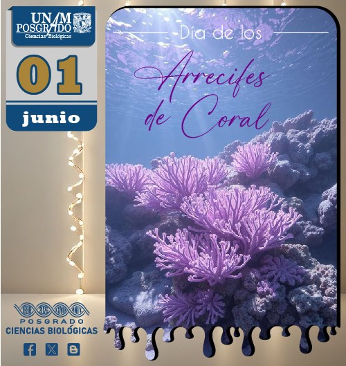 PCBIOLOGICAS's tweet photo. El Día Mundial de los Arrecifes se celebra el 1 de junio para concienciar sobre la importancia y la fragilidad de los arrecifes de coral y otros ecosistemas marinos. Este día busca generar conciencia sobre la degradación de estos ecosistemas. https://t.co/pgHhDl7TAG