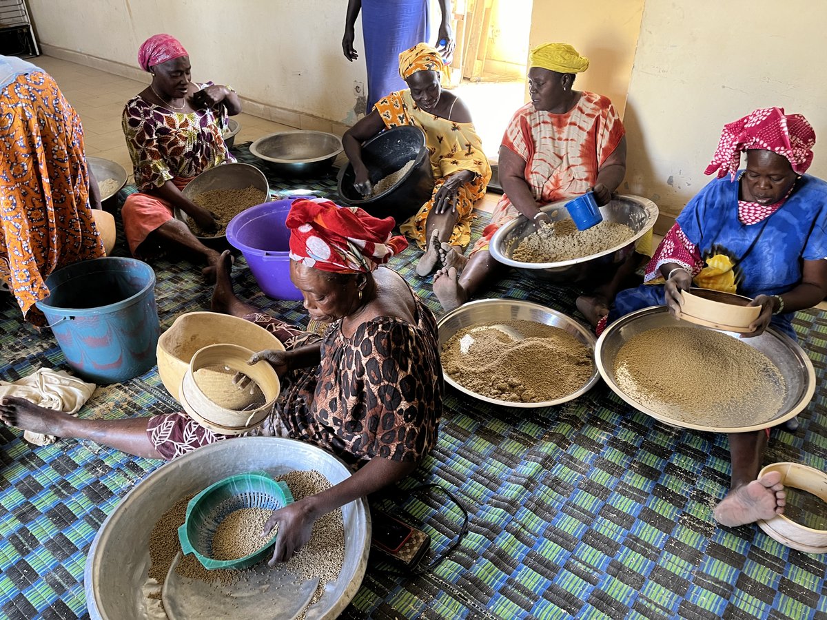 JapanEmbSenegal's tweet photo. Mme AOYAMA Yume travaille pour le Bureau du développement communautaire du département de Tivaouane et accompagne un groupement de femmes transformatrices de produits alimentaires, basé dans le village de Taïba Ndiaye, afin d'accroitre leurs revenus. 

https://t.co/WOtAI7h9bR https://t.co/tnNJx6yIIe