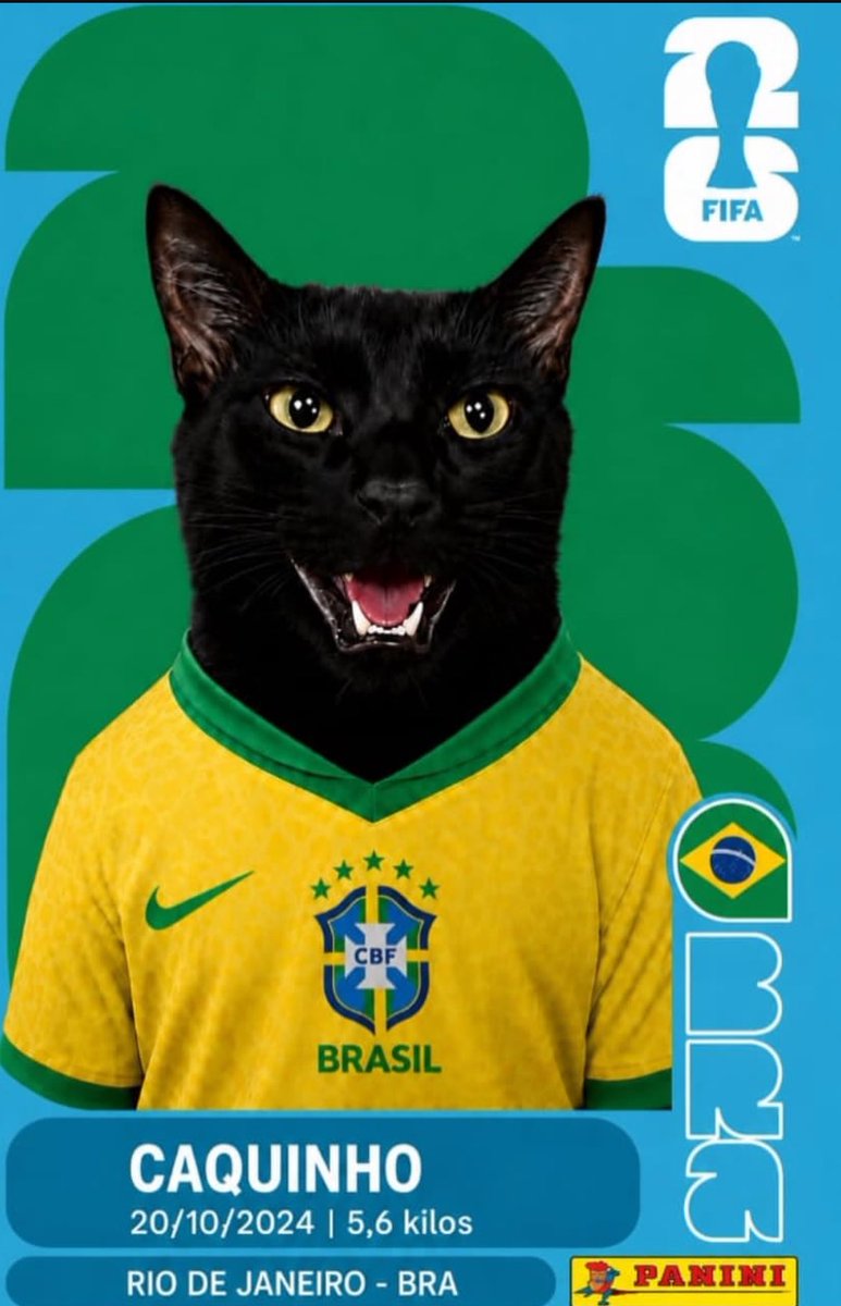 PacoAdalba's tweet photo. Vamos selemichiii!!! 😎 https://t.co/yKjH6QDGlC
