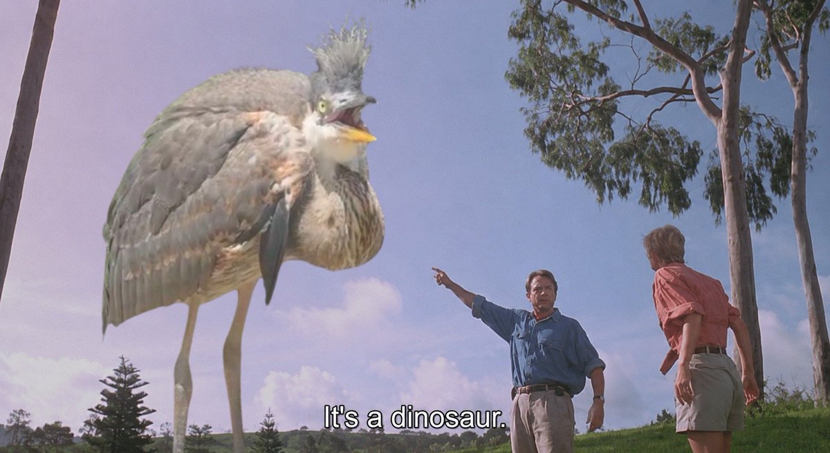 RexPaddock's tweet photo. TFW birds https://t.co/4n6ZpriFLQ