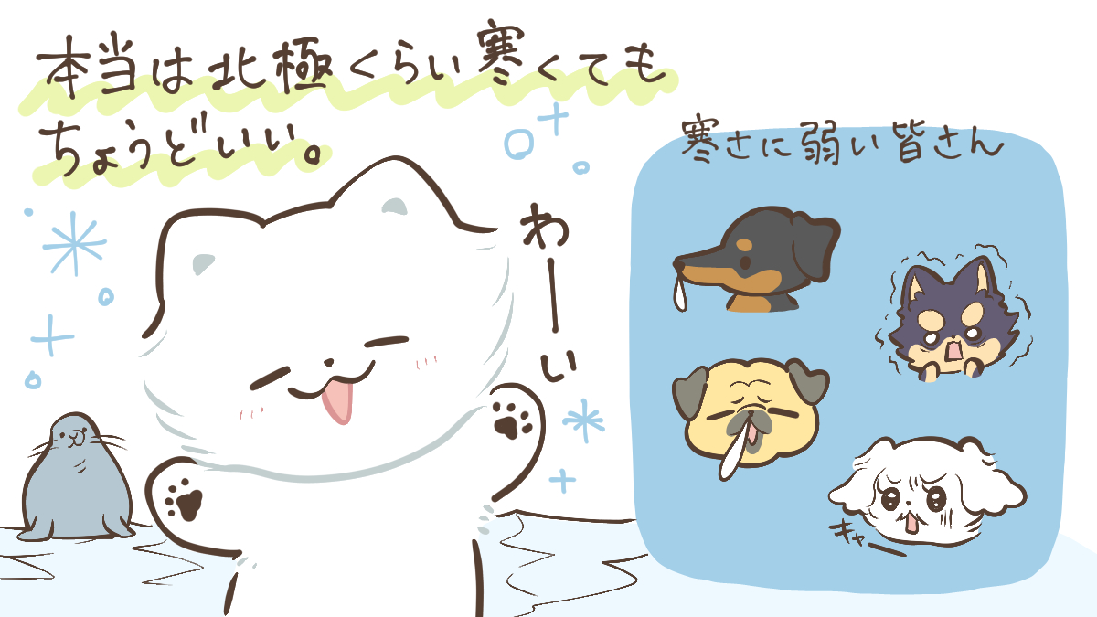 hisyowan's tweet photo. 『ヒショワン ～秘書は犬ですが何か？～』
最新話 第9話①②さもえどさん登場
もう暑くてエアコンかけてほしいさもえどさん
ヤンチャンWebで今すぐ無料で読む▼
https://t.co/oLQ7Rz7oR0
#サモエド #samoyed #もふもふ #犬のいる暮らし #犬のいる生活 #犬バカ部 #サモエドスマイル #ヒショワン https://t.co/he6SeUJOPa