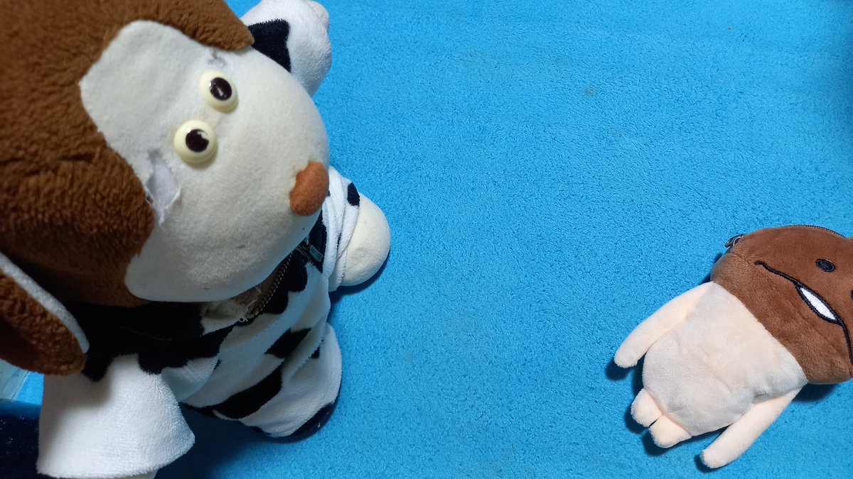 るっち～くん（タンタル ルカ）stuffed animal family ちちんぷいぷい