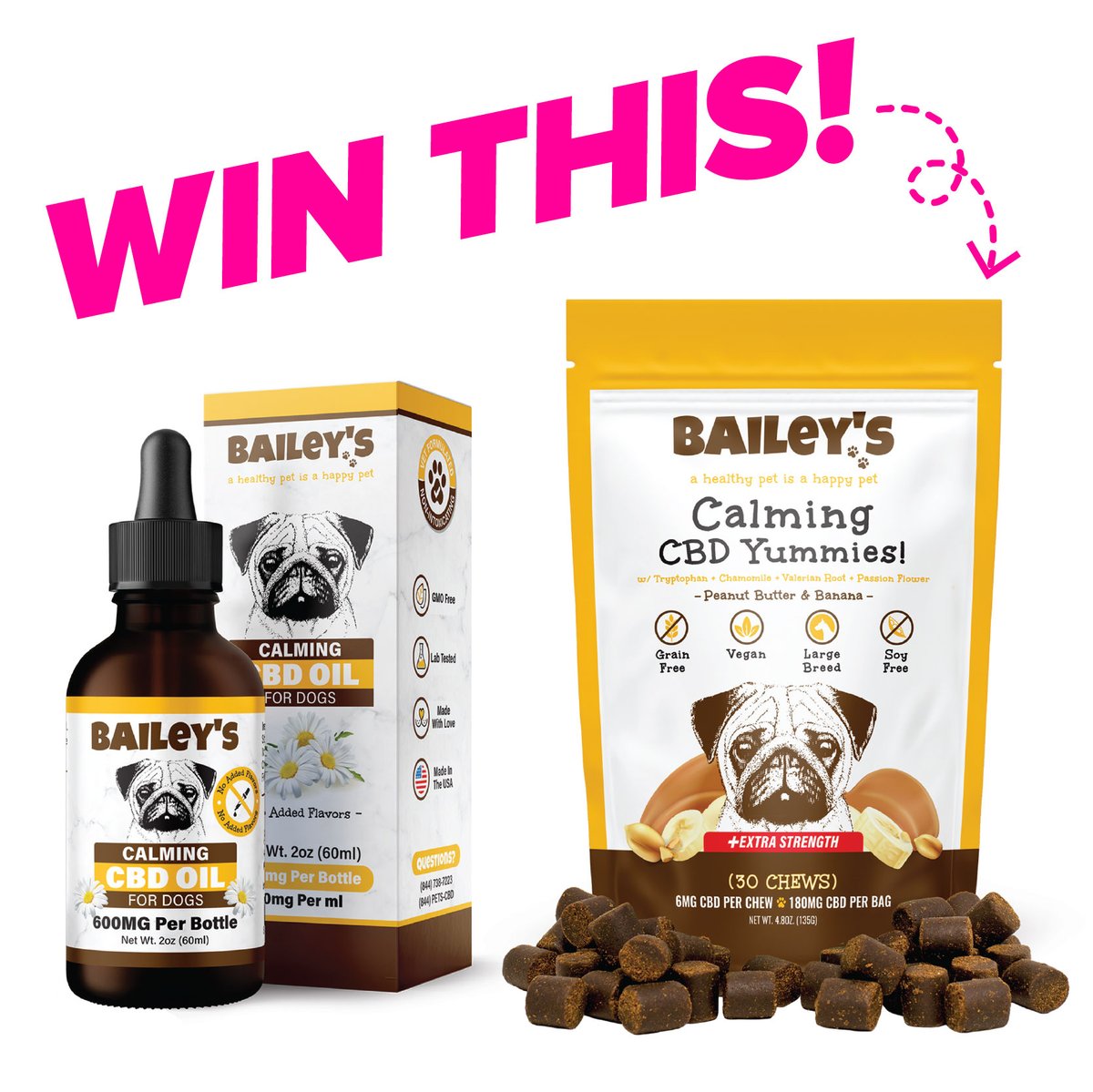 ModernDogMag's tweet photo. ✨Time for a giveaway! ✨

Win 1 of 2 prize packs from @baileyscbd for Dogs! Each winner will receive 2 bottles of Calming CBD Oli For Dogs and 4 bags of Calming CBD Yummies.

Enter now 👉https://t.co/3C9Qgqlmw8 https://t.co/CKGIhX9tSZ