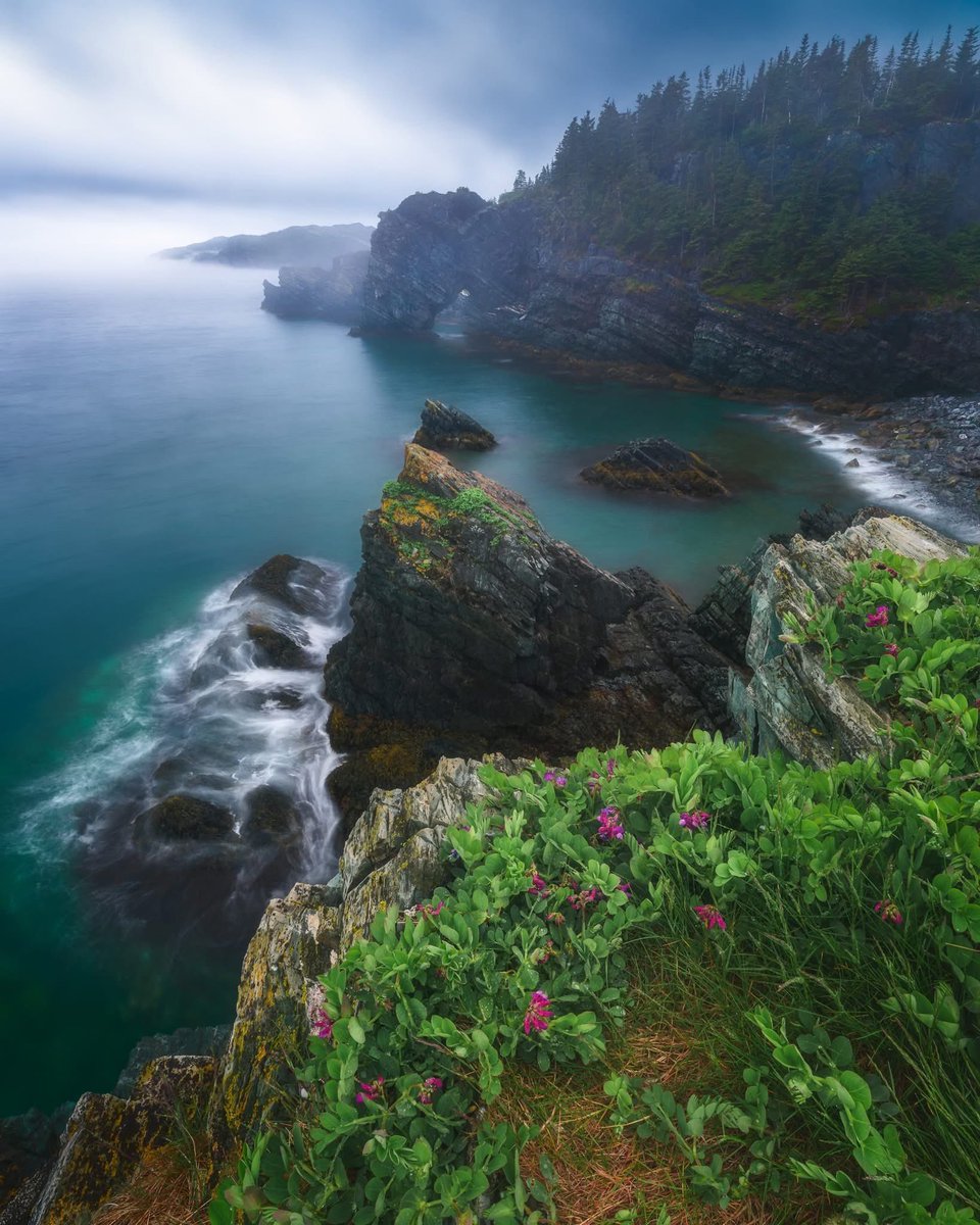 gord_follett's tweet photo. I always loved this place from the first time I saw it. This is my favourite composition of the Gooseberry Cove Sea Arch to date. I'm hoping to try something a little different in the near future. Love those calm foggy days! https://t.co/Wk7iI0mTmu