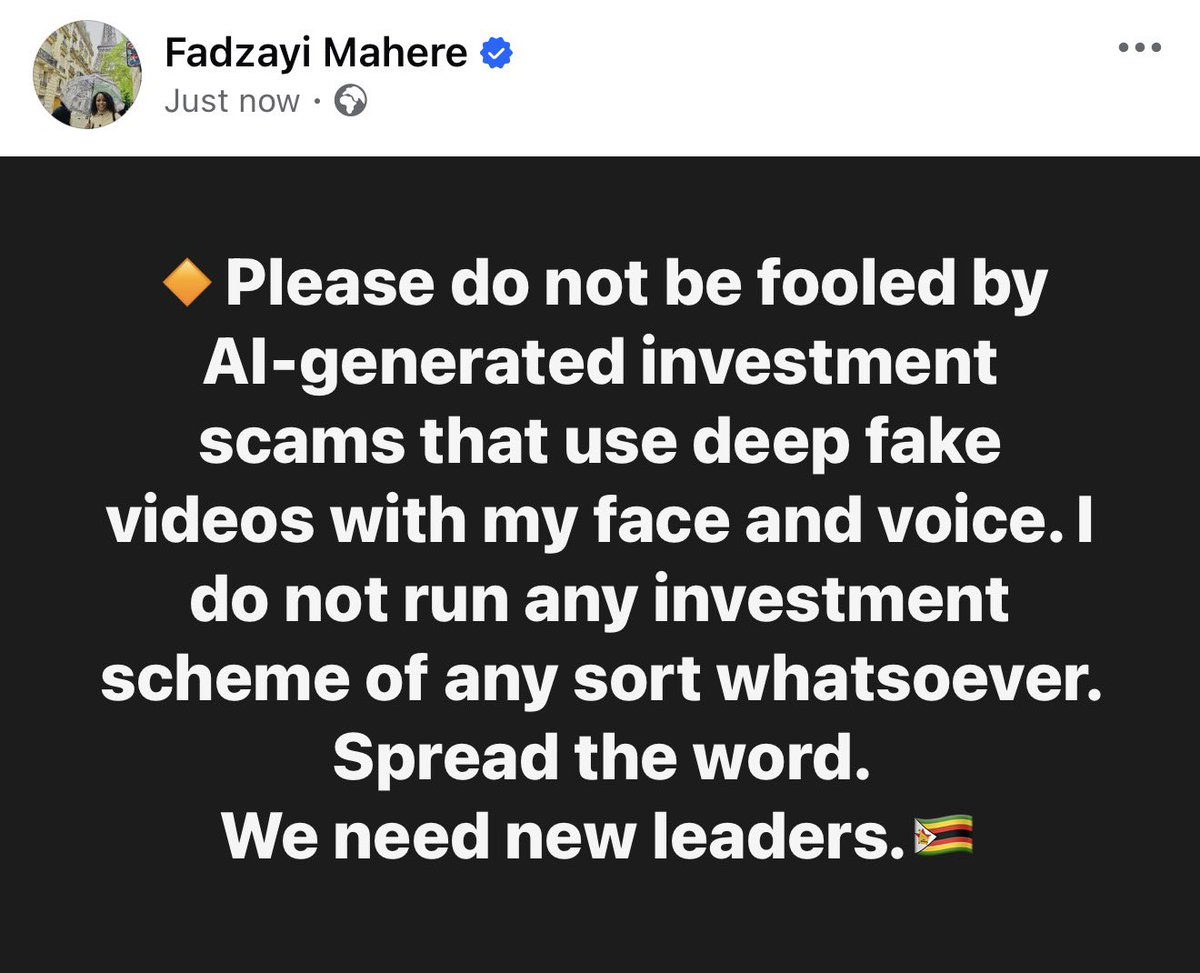 Fadzayi Mahere🇿🇼 tweet media