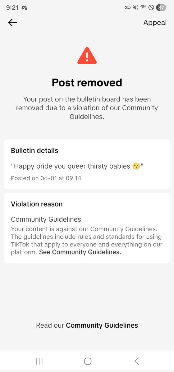 Catt_VT's tweet photo. TikTok not letting me wish Happy Pride in my own style in "Catt's Pit of Subs" 🥲 so I'll do it here instead, love you all my queer babies ✌️ https://t.co/lmagzkLqDJ