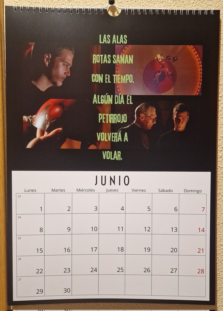 DailyBatForever's tweet photo. June in
#BatmanForever
custom calendar by @LuFeducci

"Broken wings mend in time. 
One day Robin will fly again"

One of the most emotional moments in the movie.
🙌🏻👌🏻 https://t.co/7xQaQAcITu