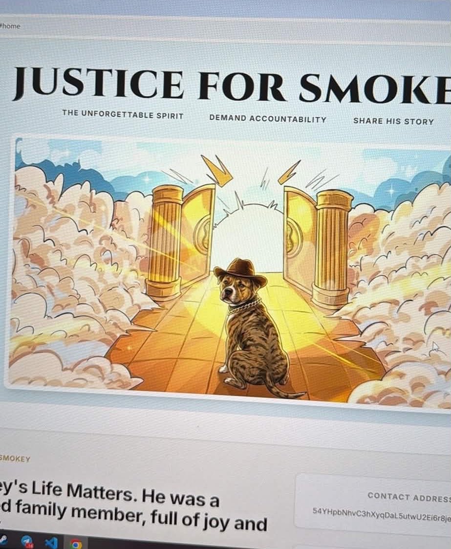 Justice For Smokey tweet media