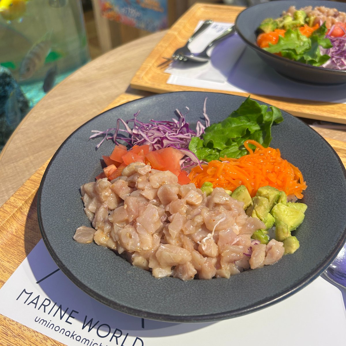 fishlle's tweet photo. ＼ マリンワールドでフィシュル!が食べられる⁉️ ／
マリンワールド海の中道にあるレストランReillyでは、フィシュル!とのコラボフードを提供中！
一般に流通しにくい天然地魚を使った#フィッシャーマンボウル、ぜひ食べてみてください🐟✨ https://t.co/IWCHVVl81E