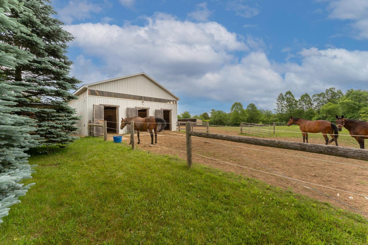 GoWylde's tweet photo. 🌿 Country living with modern comfort!

This fully renovated 3+1 bedroom bungalow sits on a stunning 3-acre property just minutes from South Guelph, Hwy 401, and Morriston.

3988 Highway 6, Puslinch || $1,399,900

For more info, visit: https://t.co/NOSU9msRkl https://t.co/9EygHezsnv