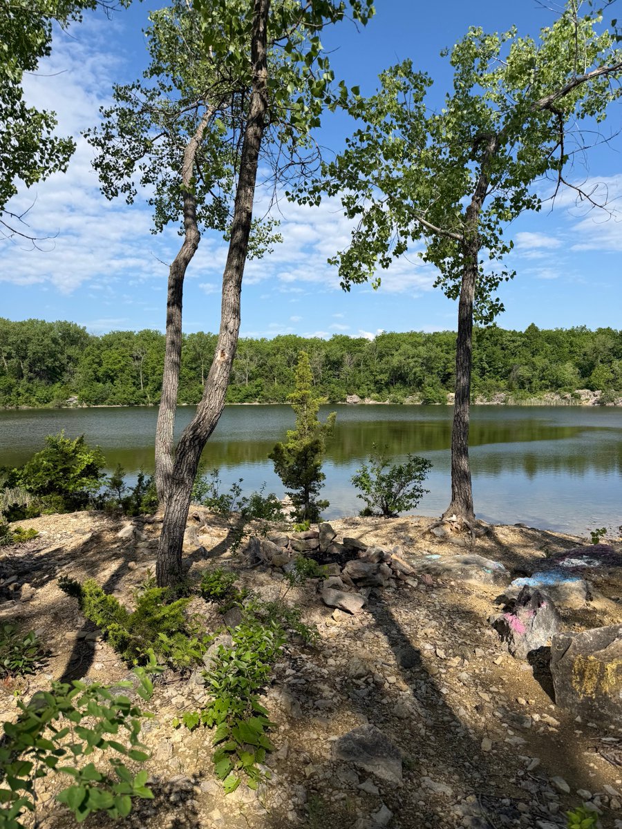 JoshDMartin's tweet photo. When I’m on a trip I like to find a local park or nature area to walk in. This one in northern Iowa is 👌 https://t.co/acY3MQo8wH