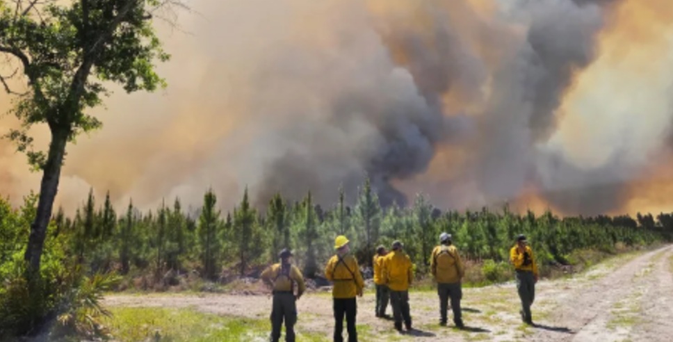 EcoCantovivo's tweet photo. Estados Unidos: Temporada de incendios forestales récord y extremos climáticos.
Los incendios de 2025 fueron los más costosos registrados, con eventos graves en áreas densamente pobladas como Los Ángeles que impulsaron pérdidas récord. https://t.co/LuCsS816Fc