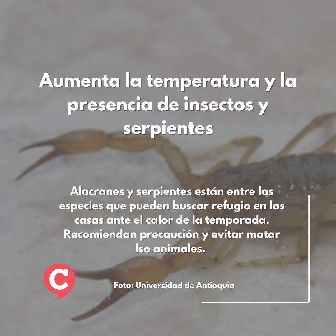 pcontexto's tweet photo. #AsíSeMueveLaAgenda:
🇨🇴- Votación récord de 23'978.304 votos 
🌎- Anuncios de OEA y pronunciamientos en 🇺🇸🇦🇷🇪🇨.
🟢⚪- Normalidad 🗳️ en Antioquia.
📍- ⚠️ por presencia de 🦂🐍 por altas tempraturas. 
➕ noticias, ➕ historias en Contexto #PeriodismoUniversitario #PeriodismoUPB https://t.co/FfnWiHMLk7