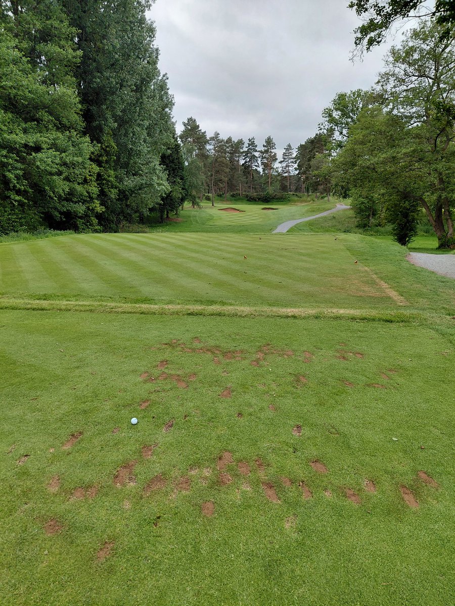 grousebeater1's tweet photo. Always a pleasure to play the fabulous @EnvilleGolf  &amp; today was no exception. The Highgate was looking superb, what a great couple of courses, always superbly presented.
#grouseofllanwernontheroad https://t.co/XINe5sH94a