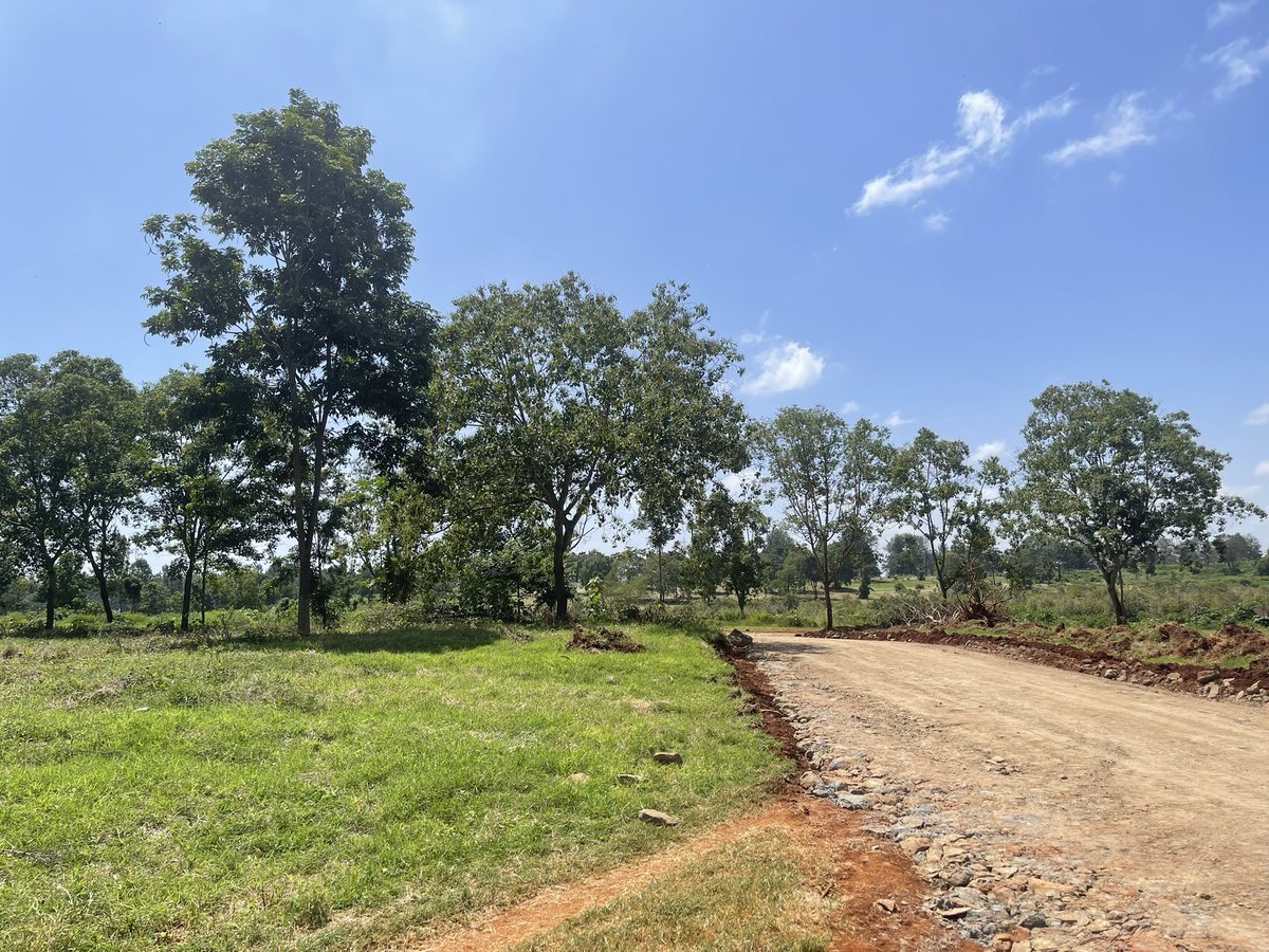 Rahabplots's tweet photo. Every man wants to know his family is secure.  
A home provides more than shelter it provides safety for your wife, stability for your children, and peace of mind that comes from owning something that no one can take away. 

Oakgroove City, Juja gives you that opportunity. https://t.co/js37ooTsdA