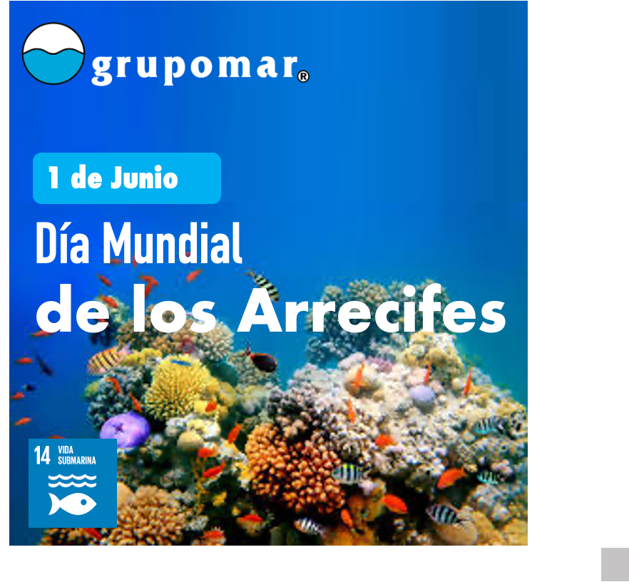 Guerra_Autrey's tweet photo. Algunos arrecifes nacen de forma natural; otros se construyen con visión, innovación y un profundo respeto por el mar. Así, en el 2020 @Grupomar hundió dos barcos en desuso en el Puerto de Manzanillo para crear un arrecife artificial, el cual, hoy alberga a cientos de especies. https://t.co/frGo3vlKfN