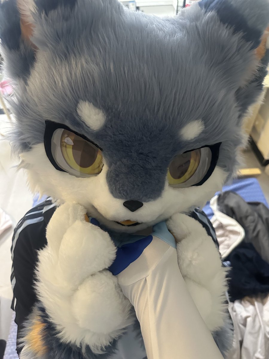 FengLan0413's tweet photo. 谁还不是个宝宝了

（忘记发到推上了） https://t.co/5U3F5CqQdN