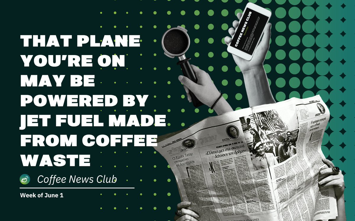 FreshCupMag's tweet photo. Air travel could soon be powered by coffee waste. Plus, analysts predict record harvests in Brazil, and a new meta-study finds that—surprise, surprise—coffee impacts sleep. 

The latest news in coffee and tea by Fionn Pooler. 

🔗 https://t.co/kIjQc6Jn6d https://t.co/gr122KZ5YZ