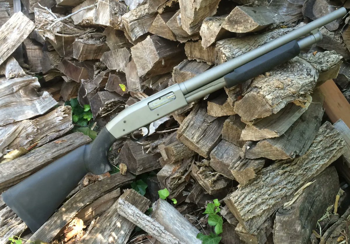 Mossberg tweet media