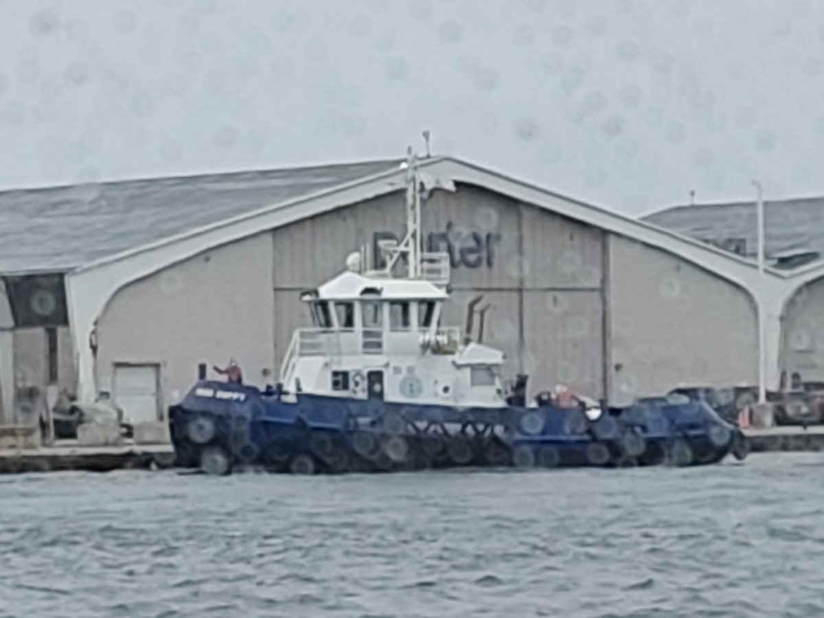SpiralChris's tweet photo. One for @babette_babich - Canadian #tuglife! https://t.co/AoYTiByh3E