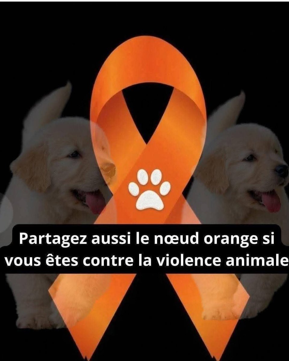 luckasdelille59's tweet photo. #StopMaltraitanceAnimale 🐈🐕 https://t.co/R3Afvh2KGz
