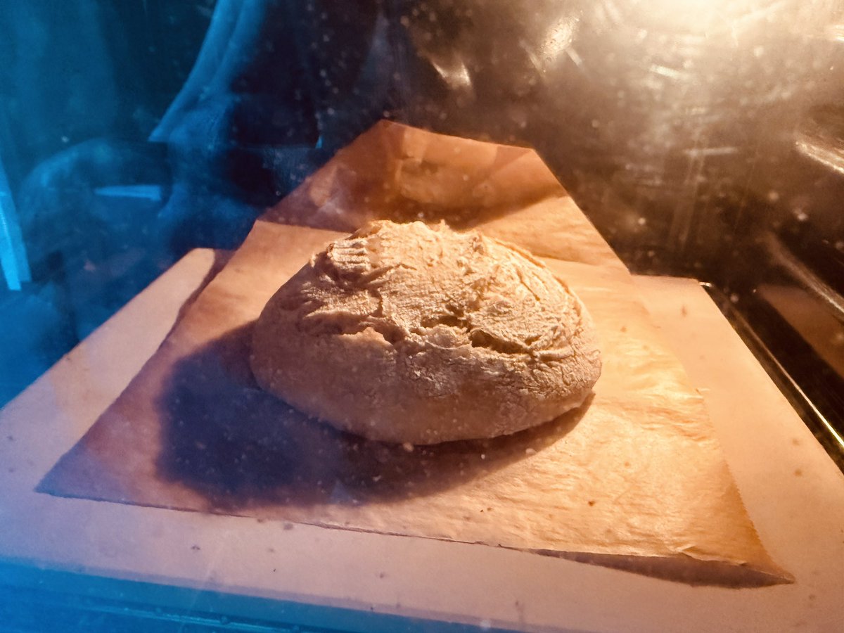 DochBleib's tweet photo. 25% Rye flour 1150
25% Wheat flour 550
50% Wheat flour 405
180ml Water
3 gr. Yeast
5 gr. Salt

Proof overnight in the fridge.

#bakingbread 😍 https://t.co/HxWtHbMLxk