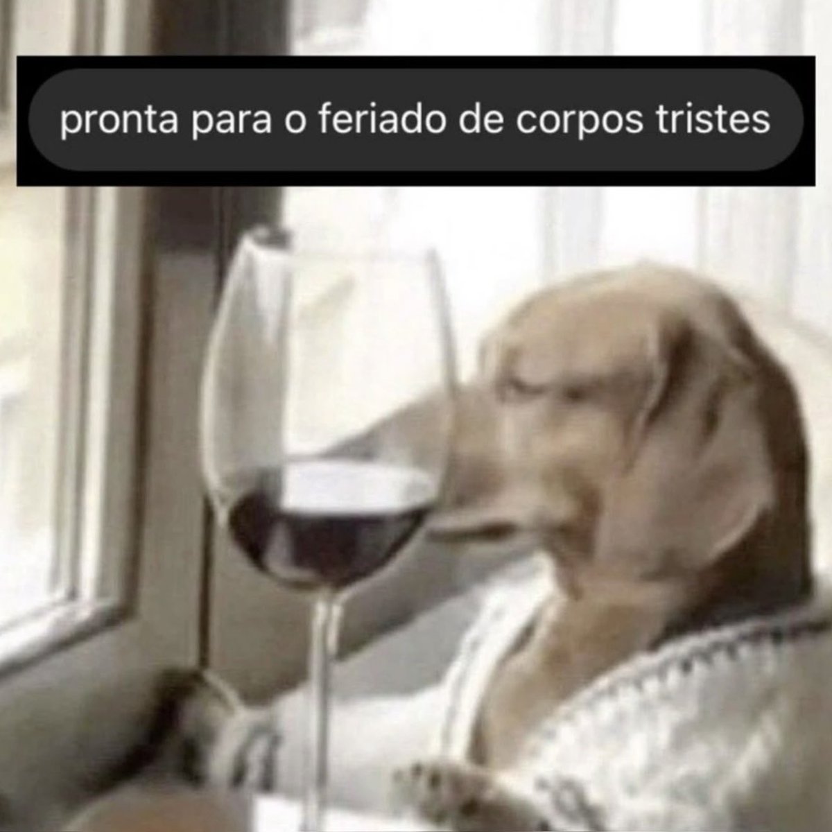 Rolê Aleatório tweet media