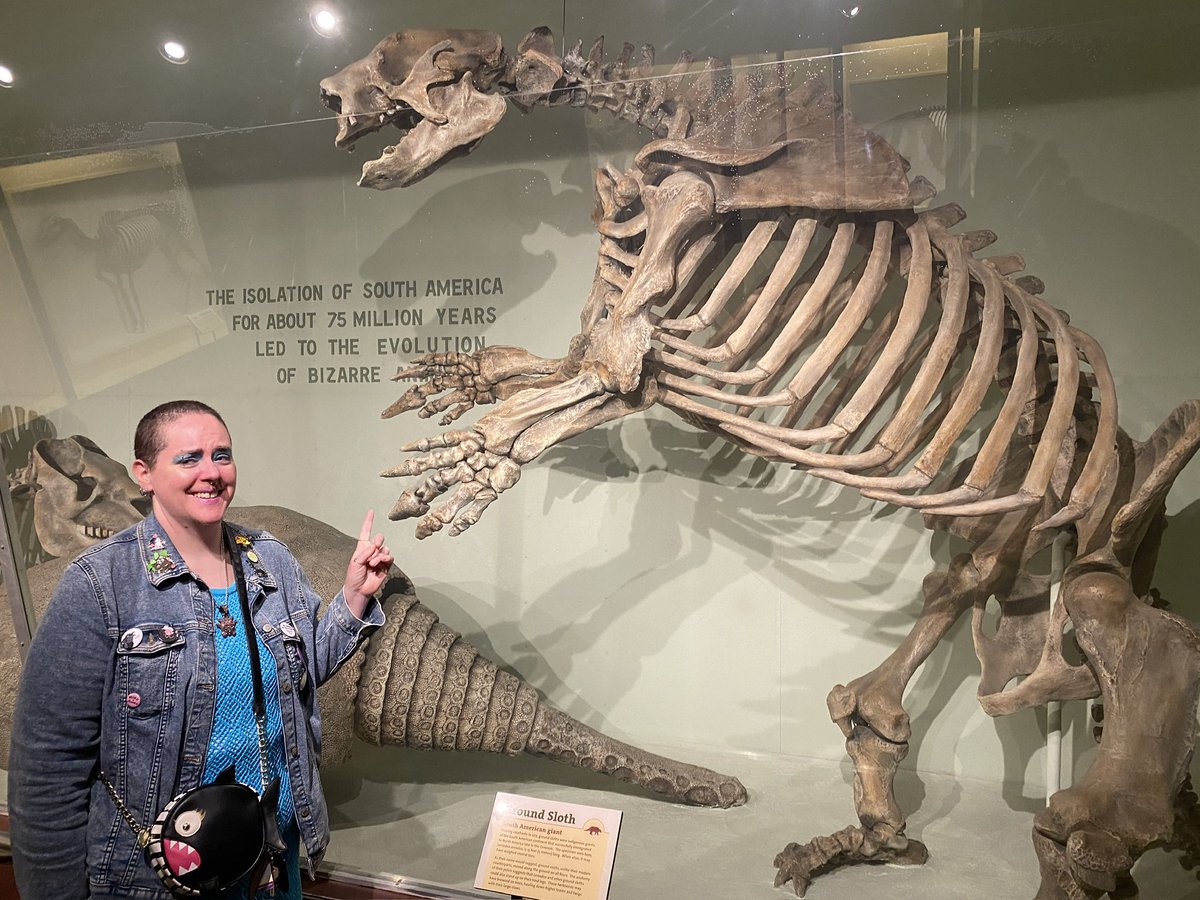 doombotrollcall's tweet photo. They were excited to see fossils…well some of them https://t.co/H3PR8GITyj