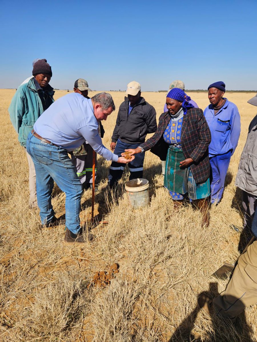 gsafarmerdev's tweet photo. Success restores hope. That is what our Farmer Development team sees every day.

Across South Africa, PGP regional managers and mentors work alongside developing farmers, helping them improve yields, build sustainable businesses and strengthen their communities.

Because when farmers succeed, communities thrive. 🌱

#FarmerDevelopment #FoodSecurity #Agriculture #PhahamaGrainPhakama