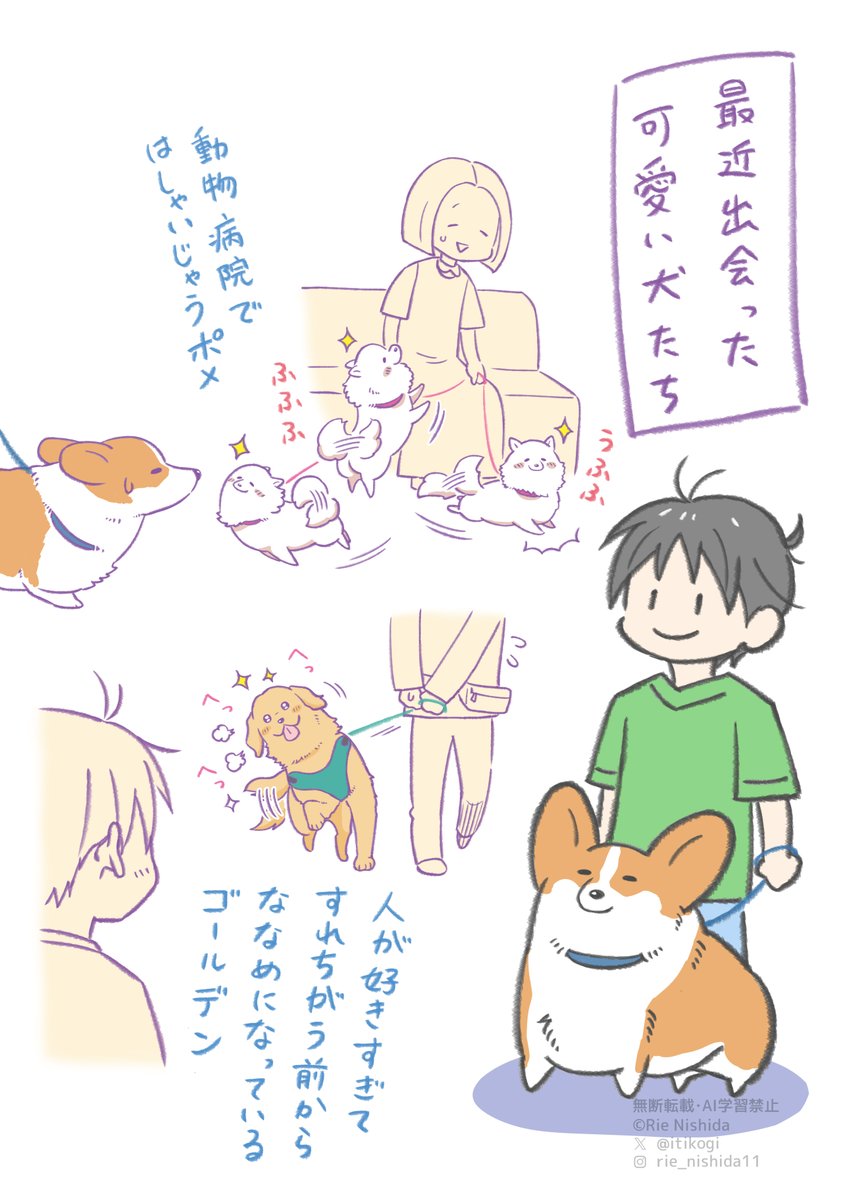 西田理英 tweet media