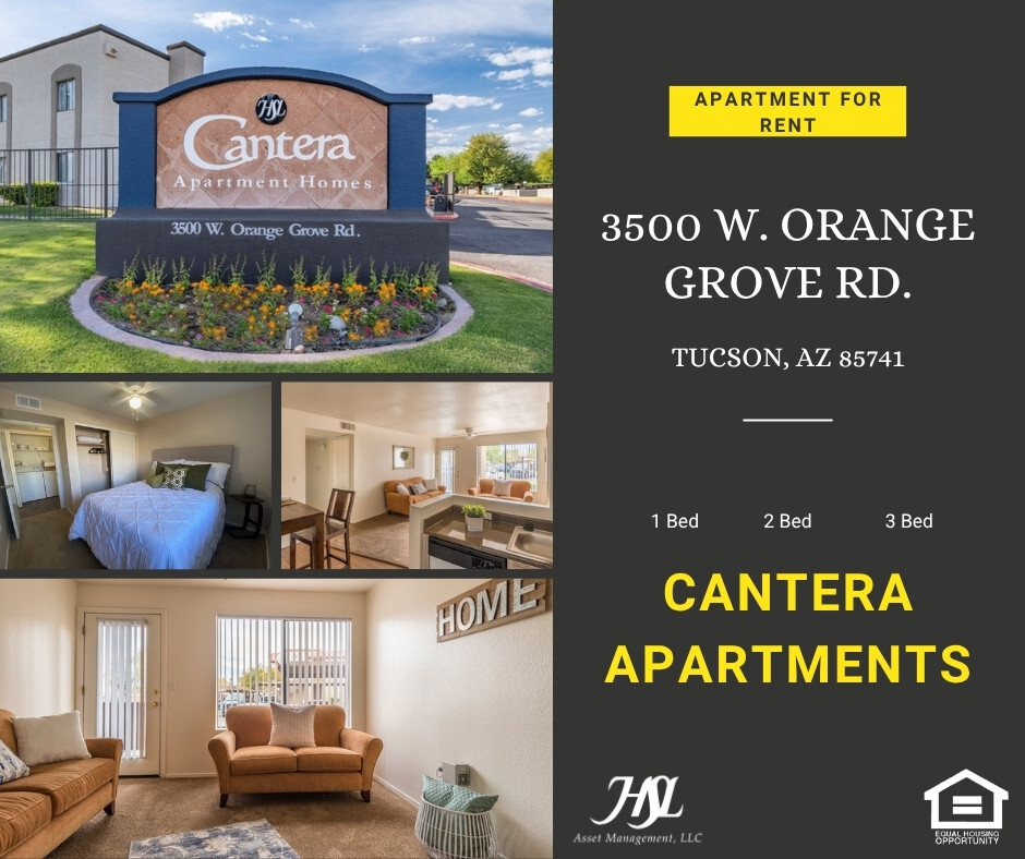 HSLCantera's tweet photo. 🏡 Your next home is waiting at Cantera Apartments!

📅 We’re open 7 days a week for your convenience — stop by whenever it works best for your schedule!

HSL Asset Management, LLC.
[Equal Housing Opportunity] https://t.co/Nbg48nDKN2