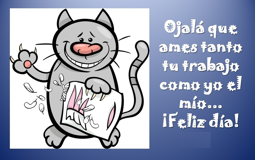 SpanishMucho's tweet photo. ¡Feliz miércoles para todos! ツ https://t.co/gfjKGayBVh