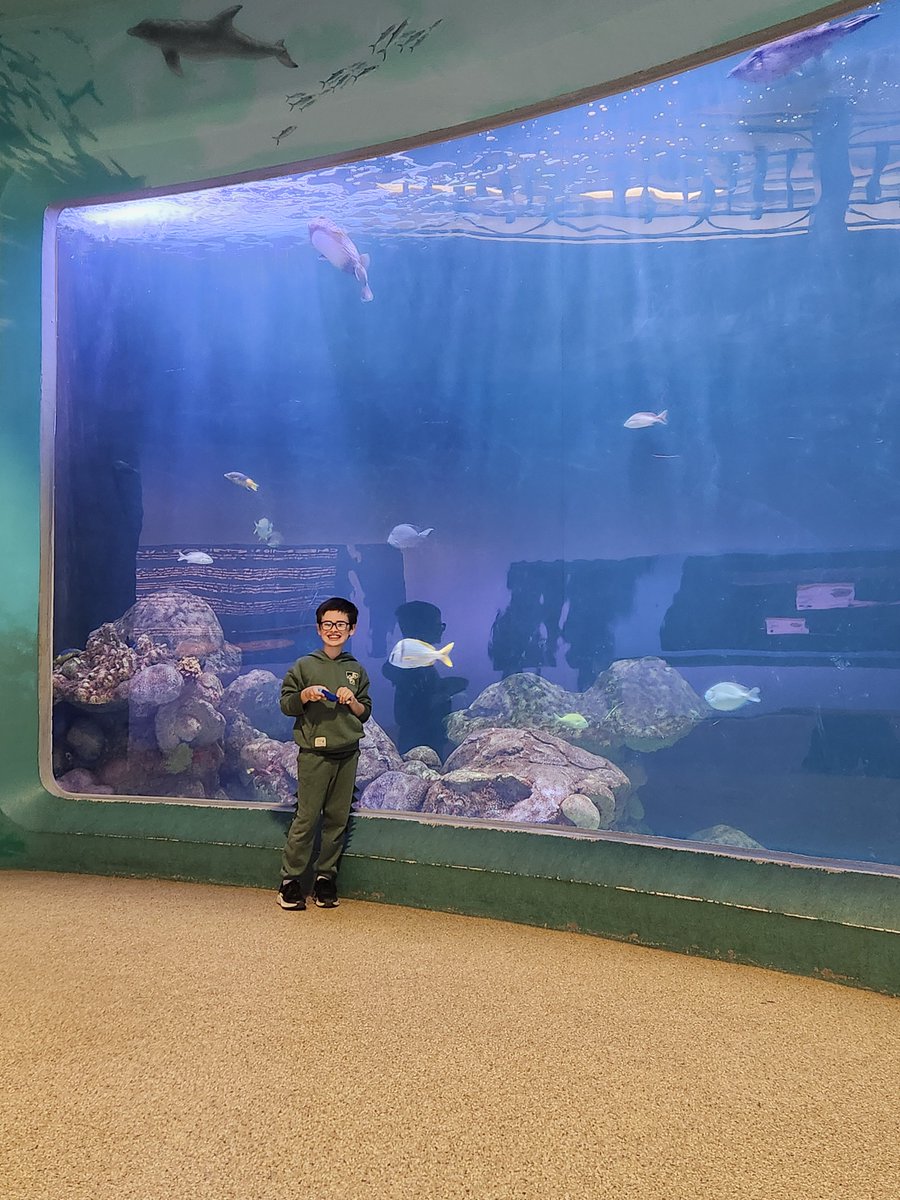 northcedarcsd's tweet photo. Before the school year came to a close, Ms. Jackson’s 3rd grade class enjoyed a field trip to the Dubuque Mississippi River Museum. It was a fun day of learning! https://t.co/6tg9gPBnBy