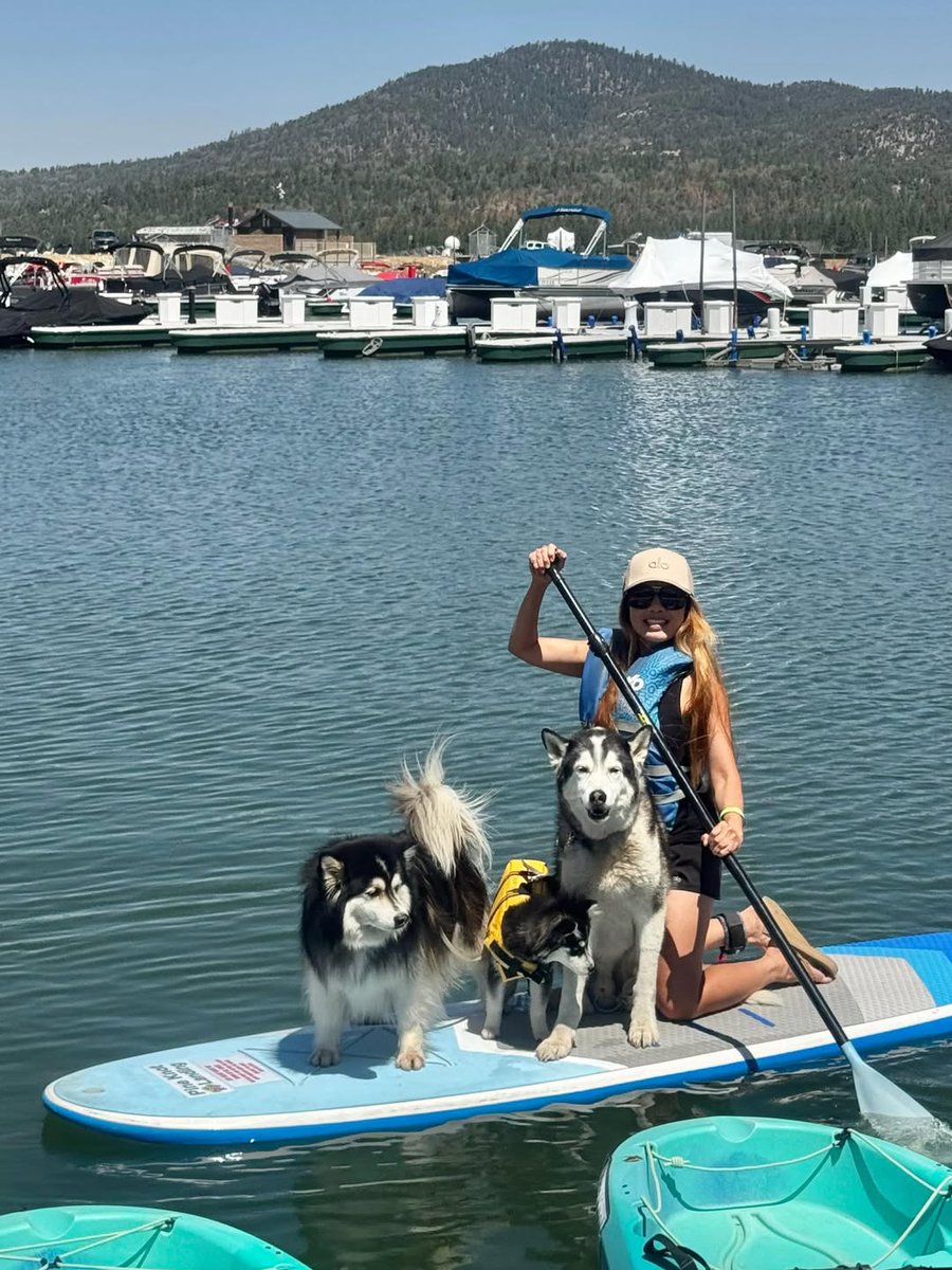abc7community's tweet photo. Kickoff the start of June with a sunny day out on the lake like these furry beauties ☀️🐶🌴

Photo @banditandbeau

Tag us on @abc7community or #abc7eyewitness to be featured https://t.co/di0a2ENBdi