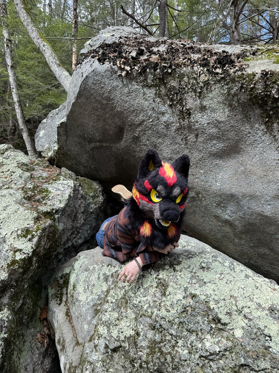 IntelergentBird's tweet photo. 🏳️‍🌈 Happy pride month everyone!! Being GAY and FRUITY is now legal!! YIPPIEEEEE 🏳️‍🌈 https://t.co/ZF6FnWnHF0