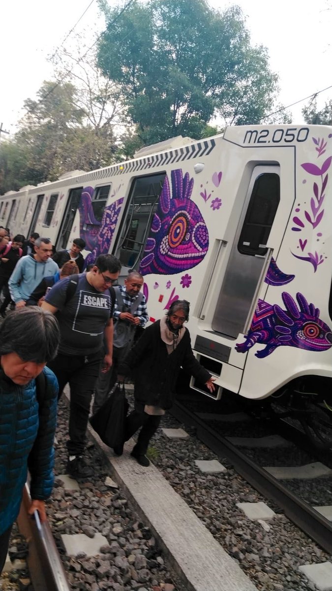 Vicente_Galvez's tweet photo. No sirve el Tren Ligero de la CDMX, pero no se fijen en eso, vean que bonitos ajolotes morados… 👇 https://t.co/kxzsaimjr9