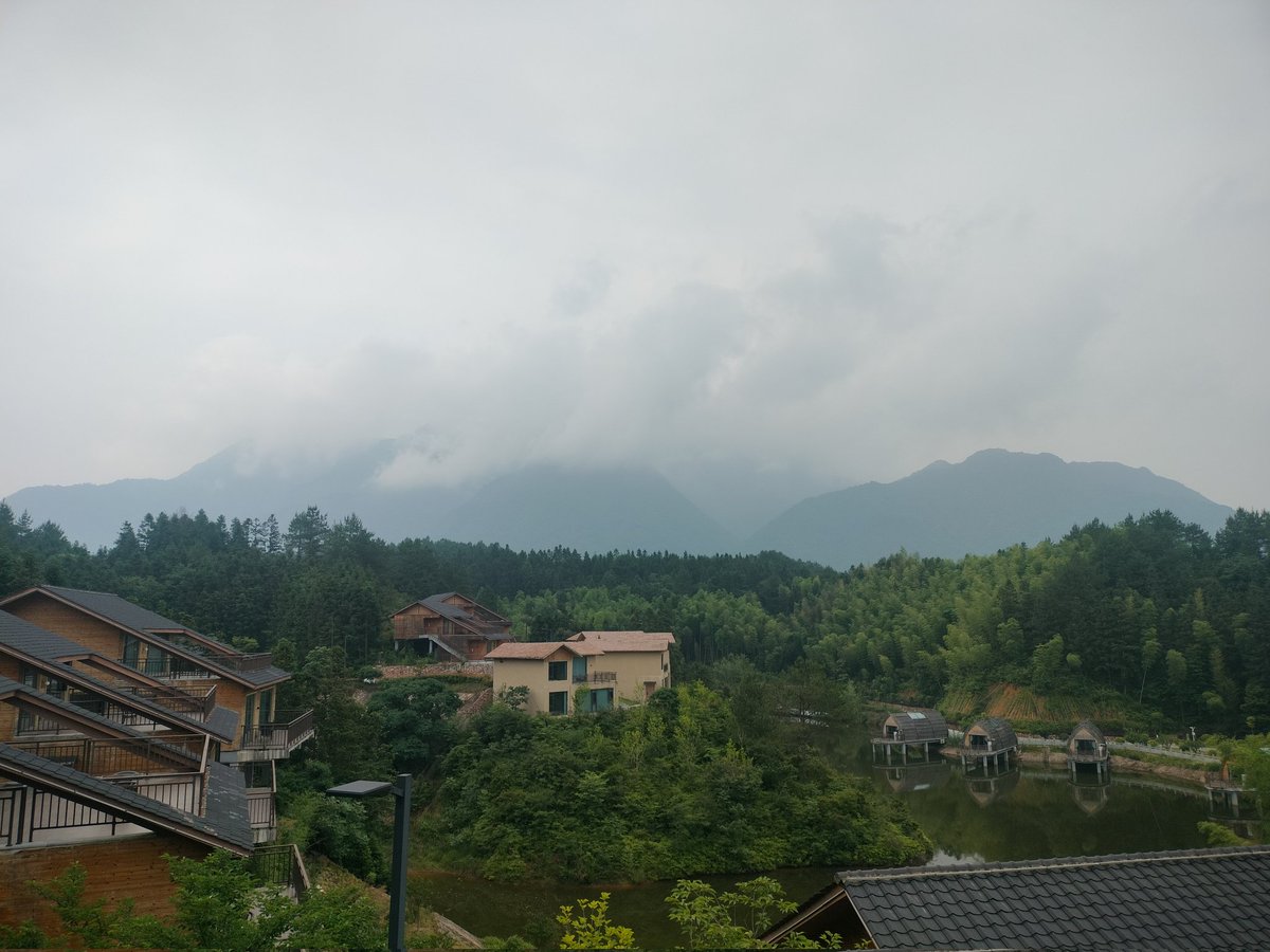 guyu1989's tweet photo. 不愧是天然氧吧！ https://t.co/wZuR900ls6