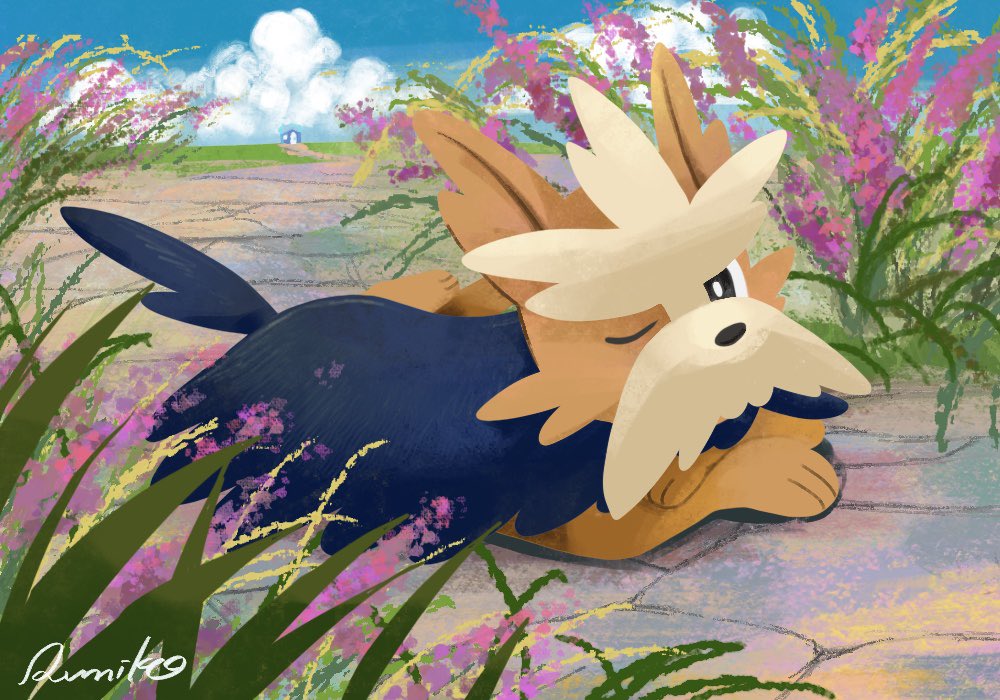VertLapin96's tweet photo. ハーデリア

 #ポケモン版深夜の真剣お絵描き60分一本勝負 https://t.co/2exgXuZRqC
