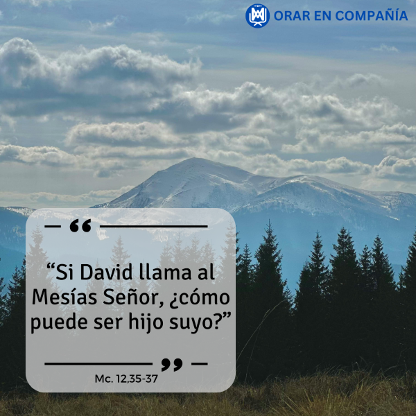 ProvinPacifico's tweet photo. Los Fariseos y Sacerdotes aferrados a la letra de la Ley  incapaces de entender lo que Jesús les quiso decir; en cambio, nos dice el Evangelio, las multitudes lo escuchaban con agrado y veían en Él, alguien que hablaba con autoridad. Y nosotros ¿qué pensamos de Jesús como Mesías? https://t.co/3vpS5L888s