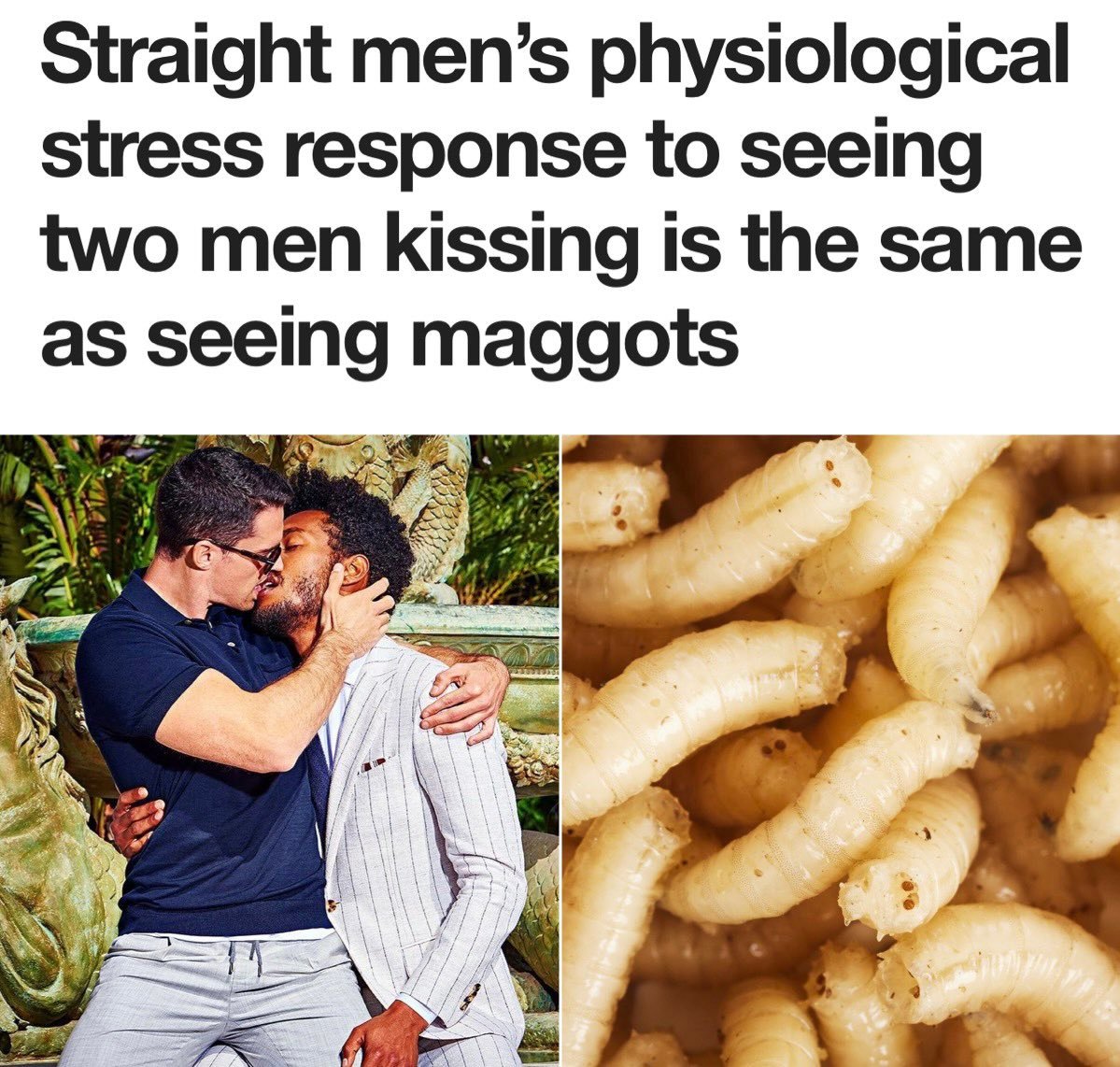 MapleFables's tweet photo. @sleepy_devo Meanwhile, when gays kiss: https://t.co/X0FqUzRCxn
