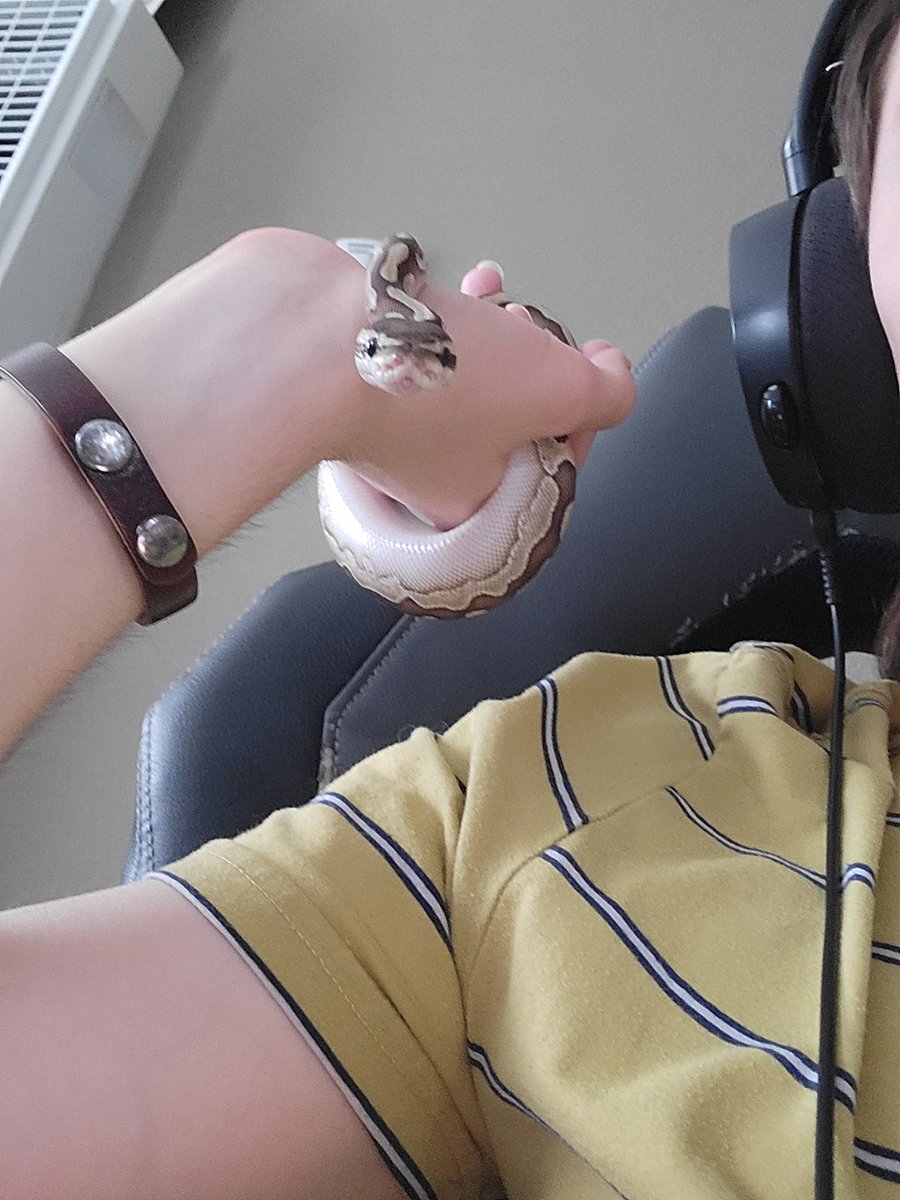 soundbbabe's tweet photo. Snake boy turns 1 year old today!!! Happy Birthday Teeth!! 🥺🦷🐍 https://t.co/4Q1QqMLMqi