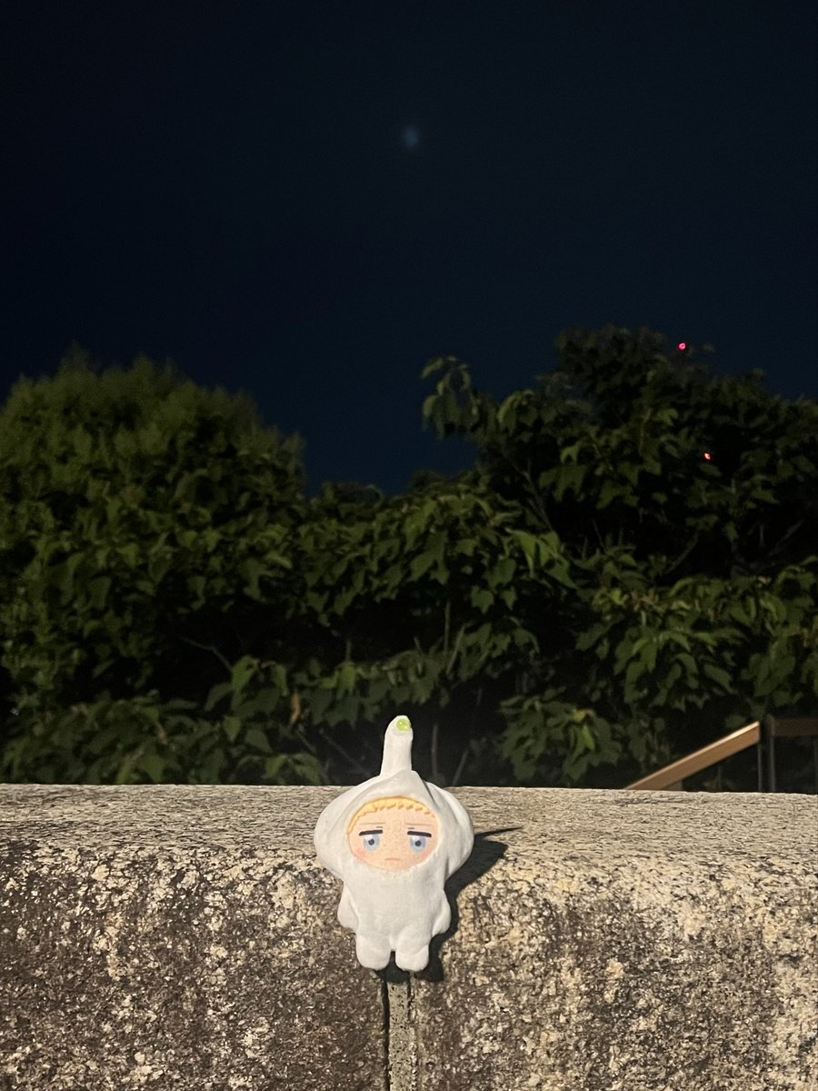 _devil6_6_6's tweet photo. にごり月 https://t.co/uBMsUUFjZx