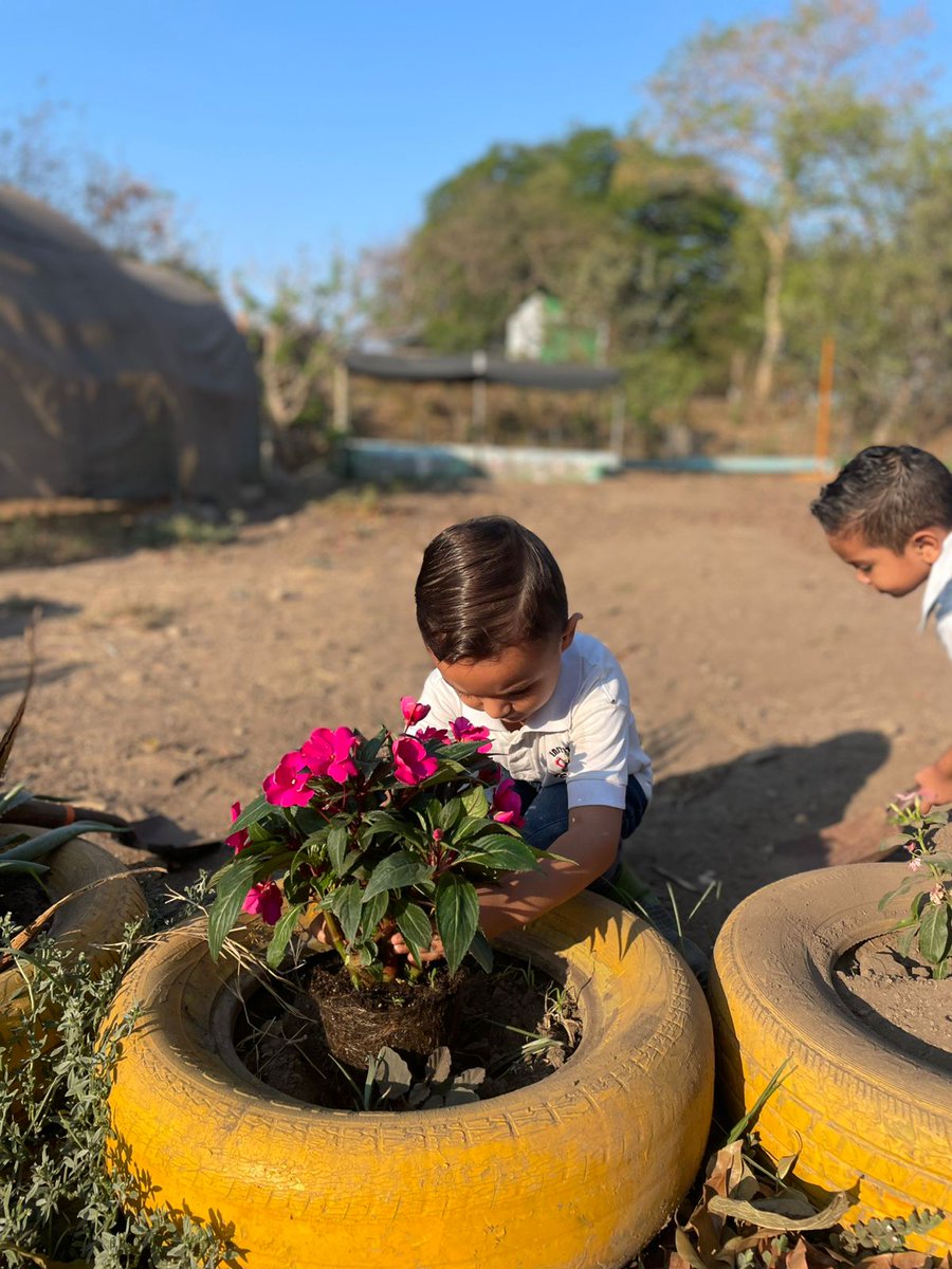 Ecomentesac's tweet photo. En ECOMENTES los geniecitos TAMBIÉN combinan la ecología con sus actividades agrícolas, dando como resultado un huerto bello y ordenado. https://t.co/ry1YuVnNVC